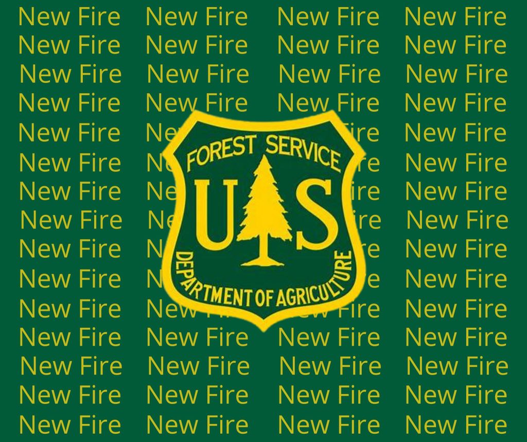 Forest Service responding to fire near Heeney | SkyHiNews.com